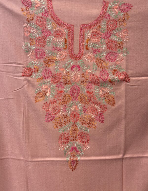 Suit With Aari Embroidery